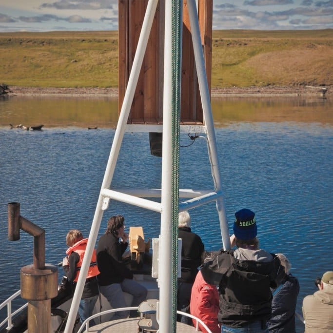 sealwatching-hvammstangi-iceland-22-