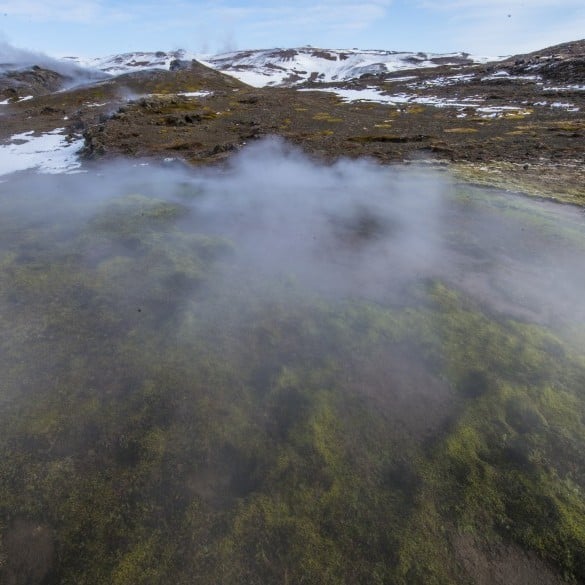 The sight behind the wall are mystique.