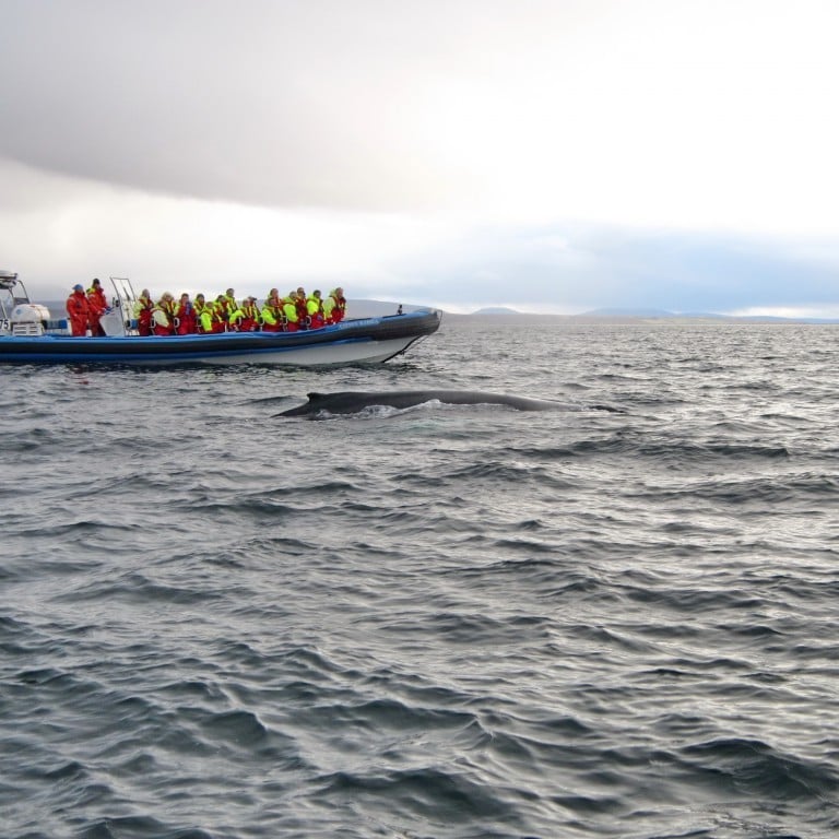 ak2015_1008_581_uppskeruhatid